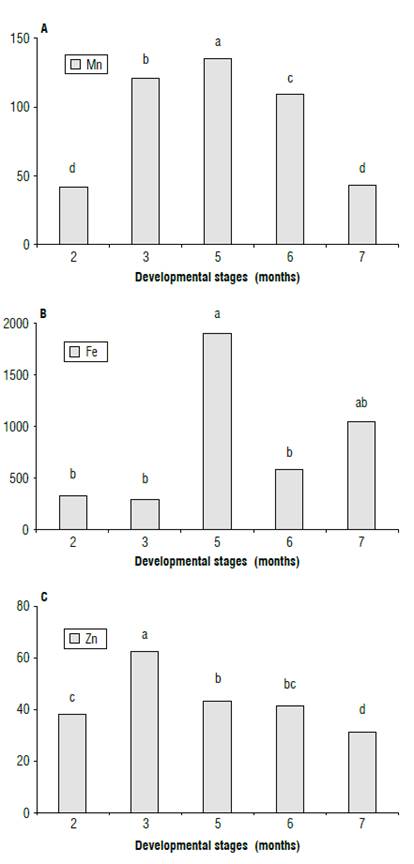 A) Mn, B) Fe, and C) Zn contents (mg kg1) at different developmental stages (months) of the calendula plant (leaves + stems + flowers + seeds). Means with the same letter do not differ significantly according to the Duncan test (P<0.05).