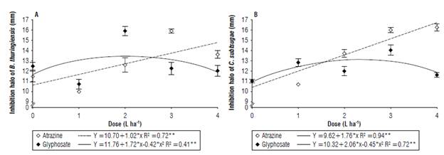 Bacterial growth inhibition halo of A) Bacillus thuringiensis and B) Chromobacterium subtsugae under the effect of the herbicides glyphosate and atrazine (mean &plusmn; standard error).