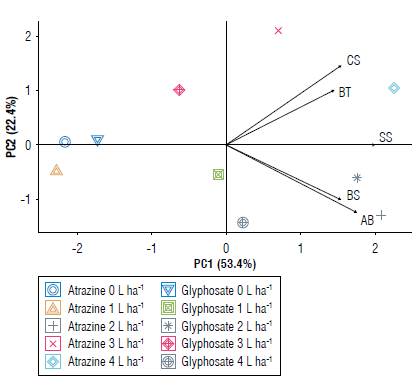 PC1 x PC2 biplot of the variable responses of doses and sources of herbicides for bacterial growth inhibition. Bacillus thuringiensis (BT), Bacillus subtilis (BS), Azospirillum brasilense (AB), Chromobacterium subtsugae (CS) and Saccharopolyspora spinosa (SS).