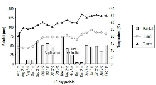 Rainfall and minimum and maximum temperature for the experimental sites. 2018/19 season, Palotina, PR, Brazil.