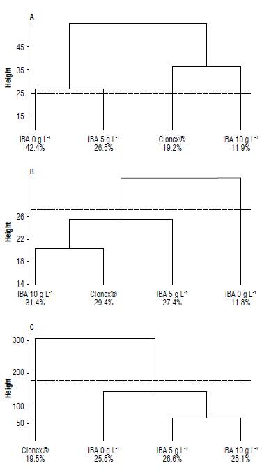 Similarity matrix (Euclidean distance) among doses of indole butyric acid (IBA) and Clonex&reg; for semi-hardwood cuttings of Macadamia integrifolia treatment, considering all cultivars and collecting seasons. The similarity matrix considered the following parameters: A) presence of callus, B) root development, and C) mortality. The grouping method (cluster analyses) was based on the K-means algorithm (Kassambara & Mundt, 2017).