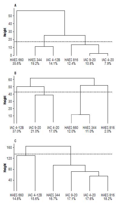 Similarity matrix (Euclidean distance) among cultivars of Ma-cadamia integrifolia 'IAC 4-12B', 'IAC 9-20', 'IAC 4-20', 'HAES 344', 'HAES 660' and 'HAES 816', considering all collecting seasons and doses of IBA and Clonex&reg;. The similarity matrix considered the following parameters: A) presence of callus, B) root development, and C) mortality. The grouping method (cluster analyses) was based on the K-means algorithm (Kassambara & Mundt, 2017).