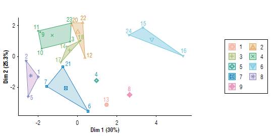 Grouping by multivariate features (cultivars, indole butyric acid, and collecting seasons) of semi-hardwood cuttings of Macadamia integrifolia. Cultivars (dose of IBA - g L-1): 1 - HAES 344 (0), 2 - HAES 344 (5), 3 - HAES 344 (10), 4 - HAES 344 (Clonex&reg;), 5 - HAES 660 (0), 6 - HAES 660 (5), 7 - HAES 660 (10), 8 - HAES 660 (Clonex&reg;), 9 - HAES 816 (0), 10 - HAES 816 (5), 11 - HAES 816 (10), 12 - HAES 816 (Clonex&reg;), 13 - IAC 4-12 B (0), 14 - IAC 4-12 B (5), 15 - IAC 4-12 B (10), 16 - IAC 4-12 B (Clonex&reg;), 17 - IAC 4-20 (0), 18 - IAC 4-20 (5), 19 - IAC 4-20 (10), 20 - IAC 4-20 (Clonex&reg;), 21 - IAC 9-20 (0), 22 - IAC 9-20 (5), 23 - IAC 9-20 (10), and 24 - IAC 9-20 (Clonex&reg;). The threshold was obtained by the K-means algorithm (Kassambara & Mundt, 2017).