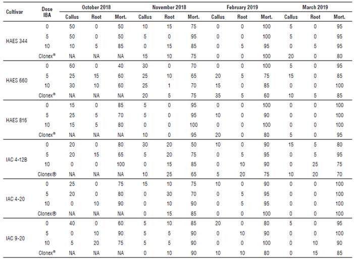 Percentage of semi-hardwood cuttings with presence of callus (Callus), root development (Root) and mortality (Mort.) in macadamia [Macadamia integrifolia) cultivars collected in four seasons and treated with indole butyric acid (IBA; g L-1) and Clonex&reg;.