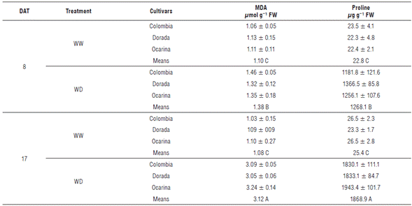 Malondialdehyde (MDA) and proline content in three yellow diploid potato cultivars.