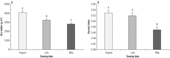 Dry matter accumulation and harvest index in rice plants at three sowing dates. A) dry matter, and B) harvest index. Error bars correspond to the standard error. Different letters indicate treatments with significant differences (P≤0.05).