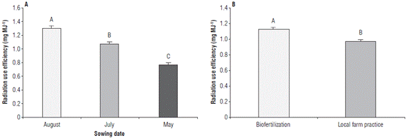 Radiation use efficiency in rice plants obtained at three sowing dates with two nutrition treatments. A) radiation use efficiency in three sowing dates, and B) radiation use efficiency for two nutrition treatments. Error bars correspond to the standard error. Different letters indicate treatments with significant differences (P≤0.05).
