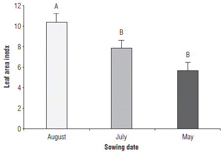 Leaf area index of rice plants at phenological stage 65 (i.e., complete flowering: anthers visible in most panicles) at three sowing dates. Error bars correspond to the standard error. Different letters indicate treatments with significant differences (P≤0.05).