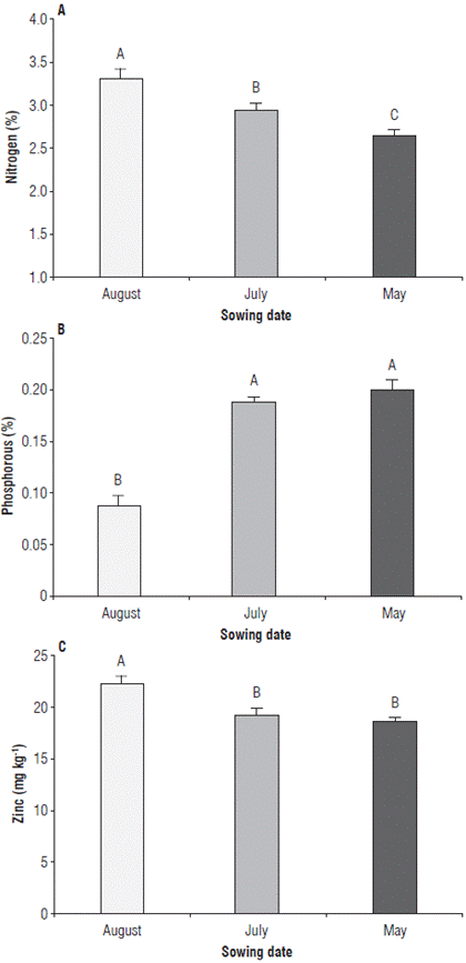 Nutritional status of rice plants at phenological stage 65 (i.e., complete flowering: anthers visible in most panicles). A) foliar nitrogen content in rice plants in three sowing dates, B) foliar phosphorus content in rice plants in three sowing dates, and C) foliar zinc content in rice plants in three sowing dates. Error bars correspond to the standard error. Different letters indicate treatments with significant differences (P≤0.05).