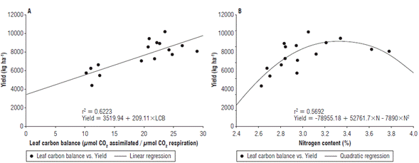 Correlation of yield with two variables evaluated at phenological stage 65 (i.e., complete flowering: anthers visible in most panicles). A) correlation of yield with leaf carbon balance, and B) correlation of yield with foliar nitrogen content. Dots correspond to the original data. Solid lines refer to the linear and quadratic regressions.