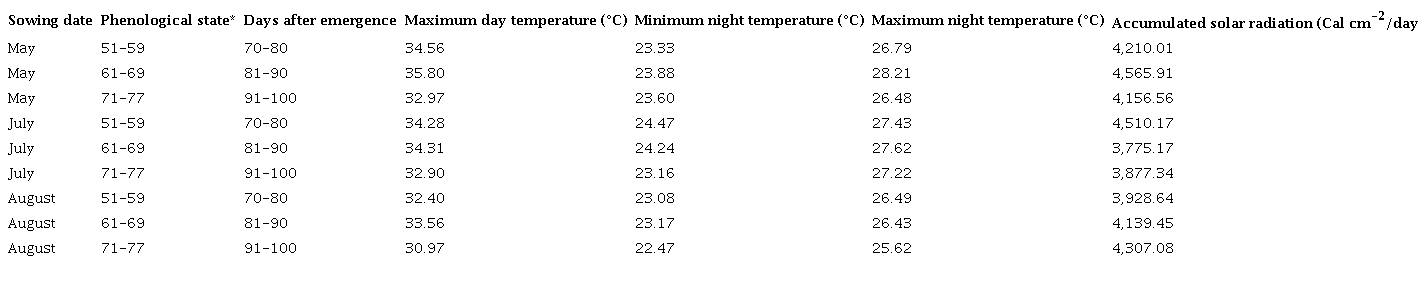 Temperature conditions between 70 and 100 days after the emergence of the rice plants established on three different sowing dates.