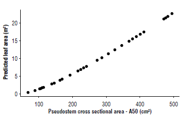 Non-linear modeling between the leaf area (LA) of banana plants cv. Williams and the pseudostem cross sectional area at 50 cm (A50).