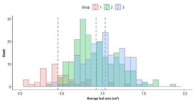 Histogram of the average leaf area for each of the Andean blueberry (Vaccinium meridionale Swartz) plant groups. Group 1: Young plants 10 months old (red) propagated by cuttings. Group 2: young plants 14 to 18 months old (blue) and group 3: young plants 22 to 26 months old (green) propagated in vitro. Dotted lines represent mean of each group. n=436.