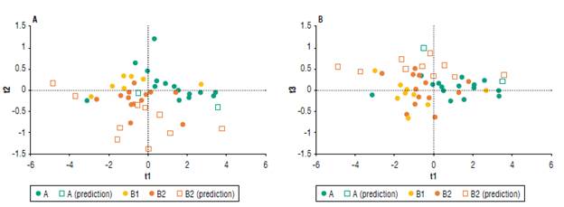 Classification with three groups (MI3) by maturation stage (A group=16 fruits, B1 group=9 fruits and B2 group=13 fruits) and the classification of new fruits used to evaluate the prediction model (A group=2 fruits and B2 group =10 fruits). A) Observations on axes one and two; B) Observations on axes one and three.