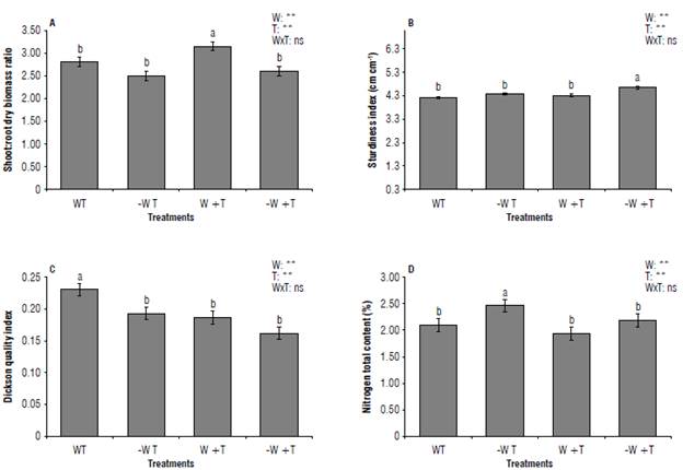 Variables measured in coffee seedlings cv IAC H 5010-5. A) Shoot dry: root dry biomass ratio; B) sturdiness index; C) Dickson quality index; D) total nitrogen content. W: 100% available water; -W: < 50% of available water; T: air temperature (22.7&deg;C); +T: elevated air temperature (22.7 + 2.5&deg;C). Different letters indicate statistical differences and error bars represent the standard error values according to the Scott & Knott test (95%).