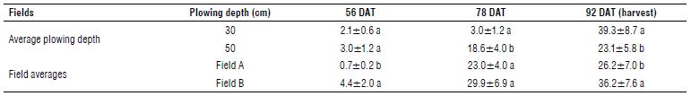 Average shoot density (plants/m2) of P ramosa for each 30 and 50 cm for each plowing depth and for each field at different days after transplant (DAT).