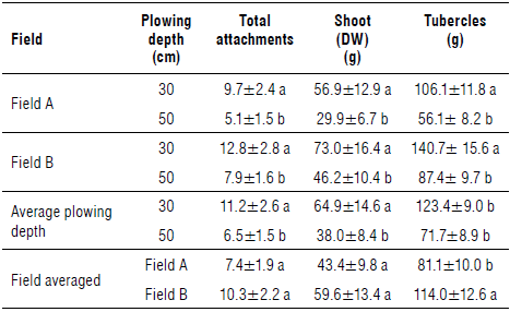 Mean of total attachments per m2, dry weight of shoots, and dry weight of tubercles (g) per tomato plant for 30 and 50 cm plowing depths In each field, for each plowing depth and for each field.