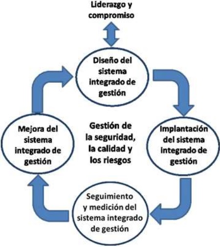 Proyecto
para la implementaci&oacute;n del Sistema integrado de gesti&oacute;n de la calidad y los
riesgos al paciente