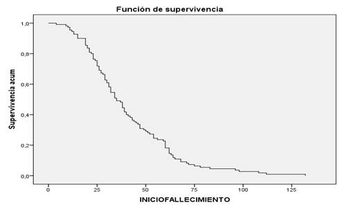 Kaplan-Meier. Tiempo en meses de supervivencia desde el diagn&oacute;stico del total de la serie.