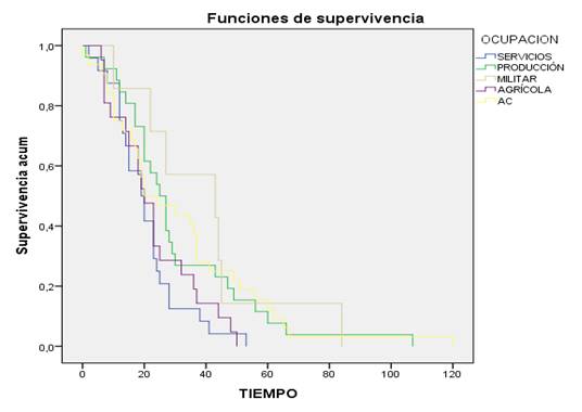 Kaplan-Meier. Sobrevida seg&uacute;n ocupaci&oacute;n. Tiempo en meses.