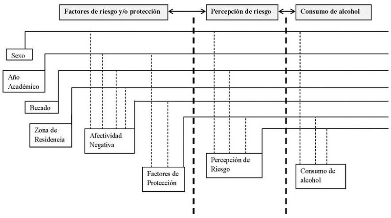 Relaciones entre los factores de riesgo y protección, la percepción de riesgo y el consumo de alcohol en estudiantes universitarios.