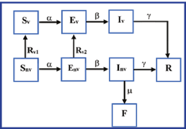 Estructura del modelo físico propuesto.