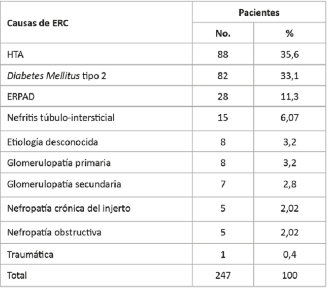 Causas de la enfermedad renal cr&oacute;nica