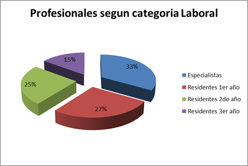 Profesionales seg�n categor�a laboral 