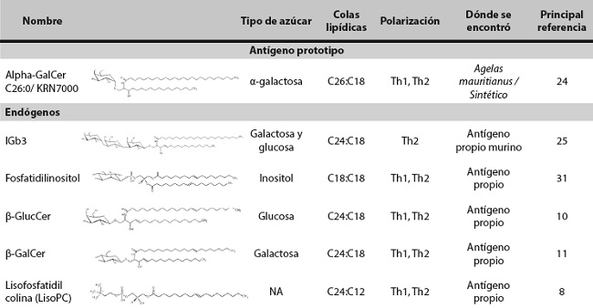 Ligandos propios, end&oacute;genos y ex&oacute;genos del CD1d con capacidad de estimular las iNKT