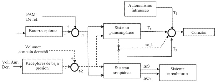 Esquema de control propuesto. La linea punteada representa la contribucion de los receptores de baja presion