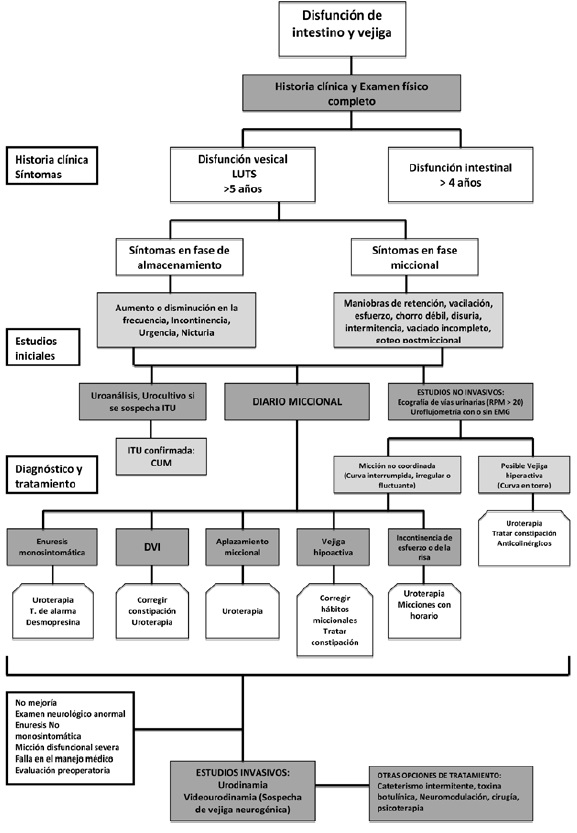 Algoritmo de evaluación y tratamiento del niño con síntomas del tracto urinario inferior (LUTS). CUM: cistouretrografía miccional. ITU: infección del tracto urinario. EMG: electromiografía. RPM: residuo posmiccional. DVI: disfunción vejiga intestino