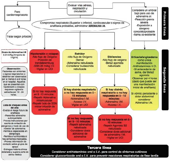 Ilustraci&oacute;n esquem&aacute;tica del manejo inicial de la anafilaxia. Adaptado con permiso de Muraro A, Roberts G, Worm M, et al; EAACI Food Allergy and Anaphylaxis Guidelines Group. Anaphylaxis: guidelines fromthe European Academy of Allergy and Clinical Immunology. Allergy. 2014 Aug;69(8):1026-45(40)