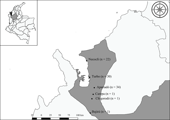 Distribuci&oacute;n de los pacientes seg&uacute;n el municipio de origen