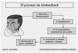 El proceso de la terapia de biofeedback