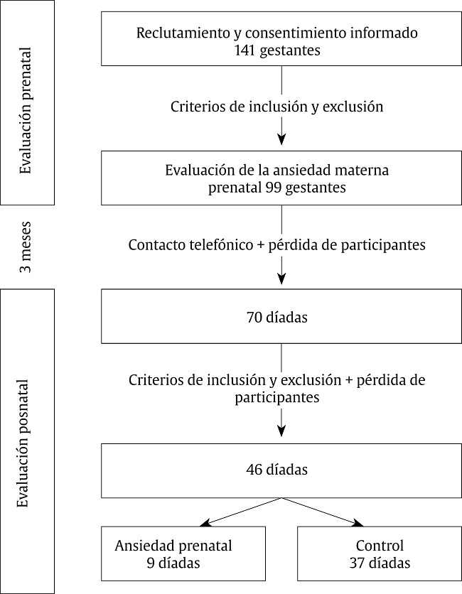 Diagrama de flujo del procedimiento de muestreo utilizado en la presente investigaci&oacute;n.