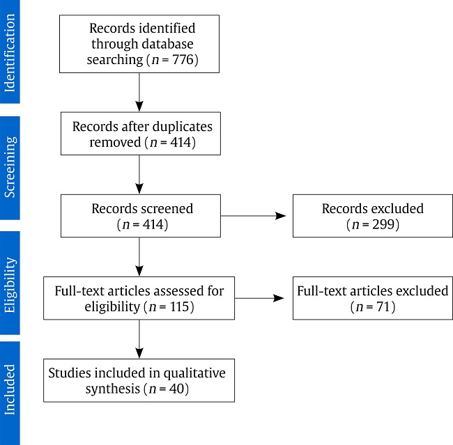 PRISMA Flow Diagram.