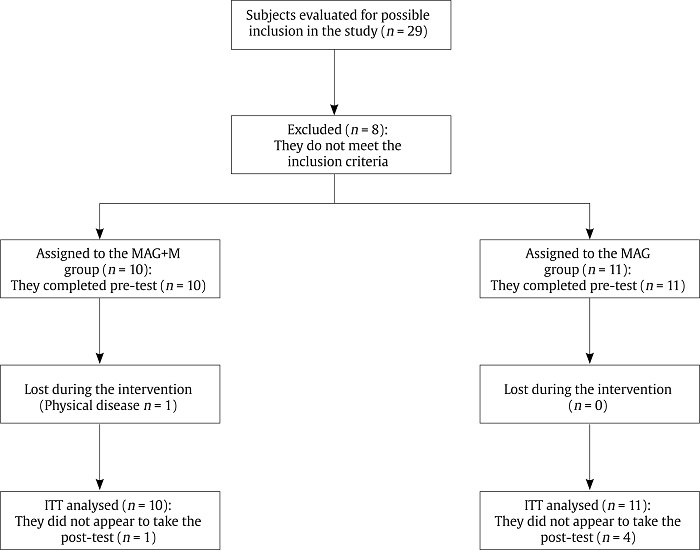 Flow Diagram of Trial Participation.