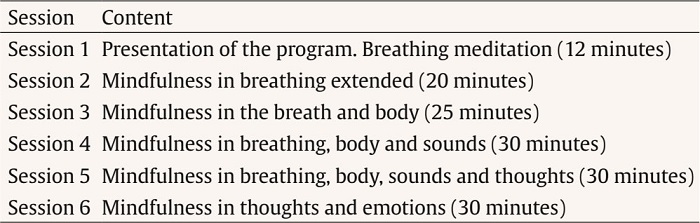 Structure of the Treatment Program