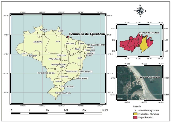 Localización del
área de estudio
