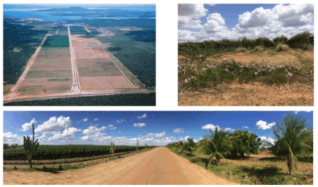 Paisaje del vi&ntilde;edo del Vale do S&atilde;o Francisco