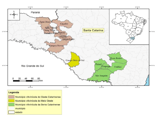 Mapa de geolocalizaci&oacute;n de S&atilde;o Joaquim (Serra Catarinense)