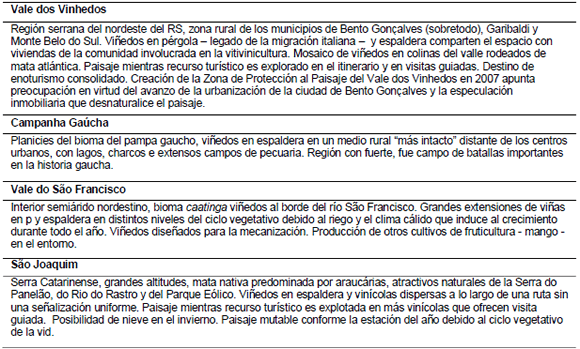 S&iacute;ntesis de los paisajes culturales del vi&ntilde;edo brasile&ntilde;o