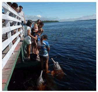 Interacciones con los delfines en el Parque Nacional de Anavilhanas (Brasil)