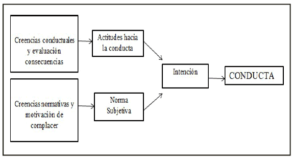 Factores determinantes de la conducta según la Teoría de la Acción Razonada