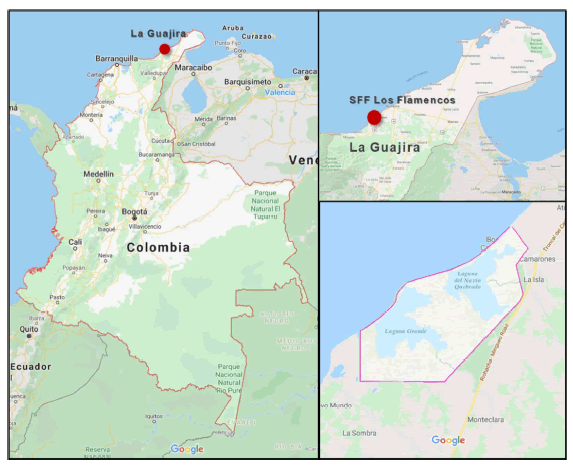 Mapa con la localización del SFF Los Flamencos