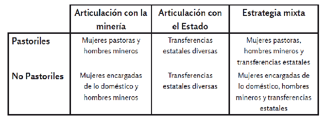 Combinaciones de estrategias productivas de los grupos dom&eacute;sticos pastogrande&ntilde;os.