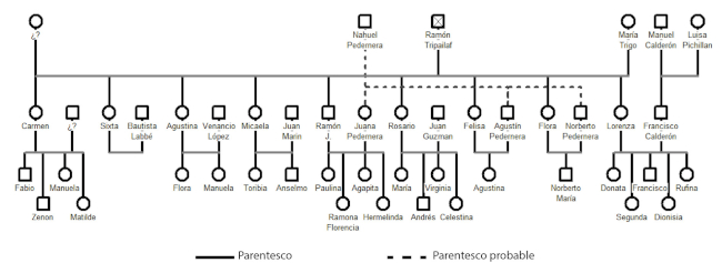 Uniones matrimoniales de las hijas e hijos de Ramón Tripailaf. Fuente: elaboración propia con base a las actas matrimoniales y de bautismo, Depetris (2003) y Hux (2007).