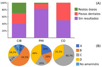 Datos de haplogrupos obtenidos a partir de muestras de distintos sitios: A) Rendimiento en los distintos conjuntos; y B) Hg encontrados en cada conjunto. CIB: Cementerio Ind&eacute;gena de Baradero, PMI: Paran&aacute; medio e inferior.