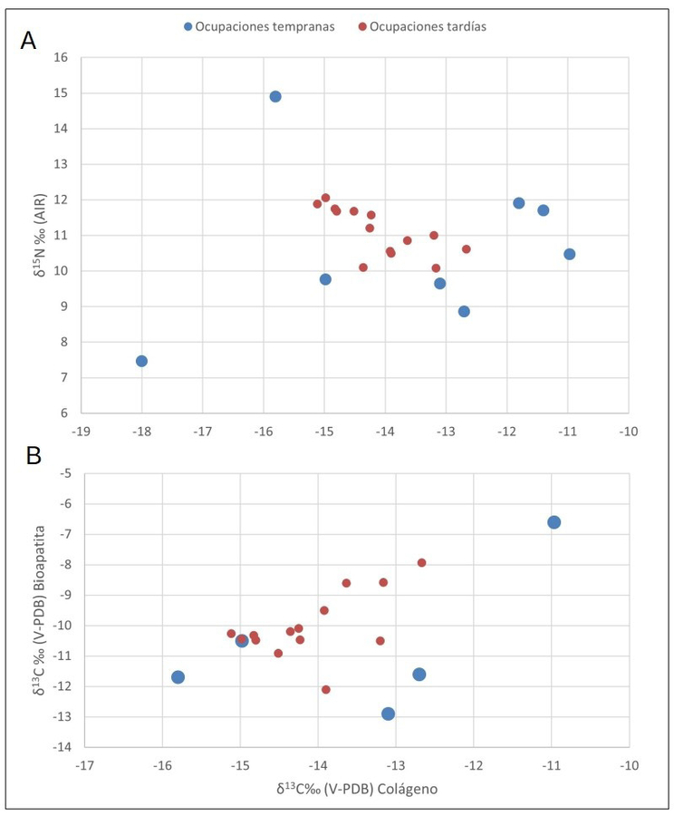 A: Valores de δ13 C medidos en colágeno y de δ15 N pertenecientes a individuos humanos hallados en sitios arqueológicos de la microrregión de Antofagasta de la Sierra. B: Valores de δ13 C medidos en bioapatita y colágeno. Las ocupaciones tempranas corresponden al período anterior al Tardío-Inca.