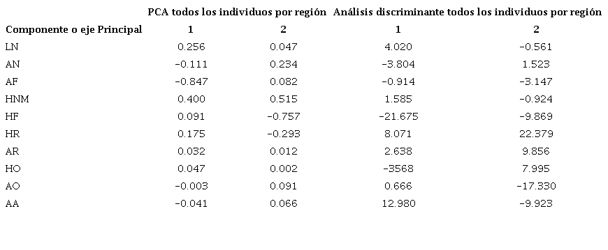 Contribuci&oacute;n de las variables utilizadas para este estudio en cada componente principal (CP) o eje discriminante (ED); las dos primeras columnas refieren al ACP de todos los individuos agrupados por regi&oacute;n; las columnas tercera y cuarta, al AD de todos los individuos agrupados por regi&oacute;n. En negrita se indican las variables que mayormente contribuyen a maximizar la variaci&oacute;n de la muestra (ACP) o de los grupos (AD).